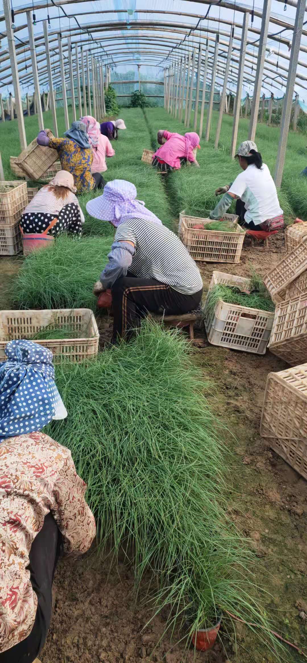 發(fā)貨現(xiàn)場(chǎng)