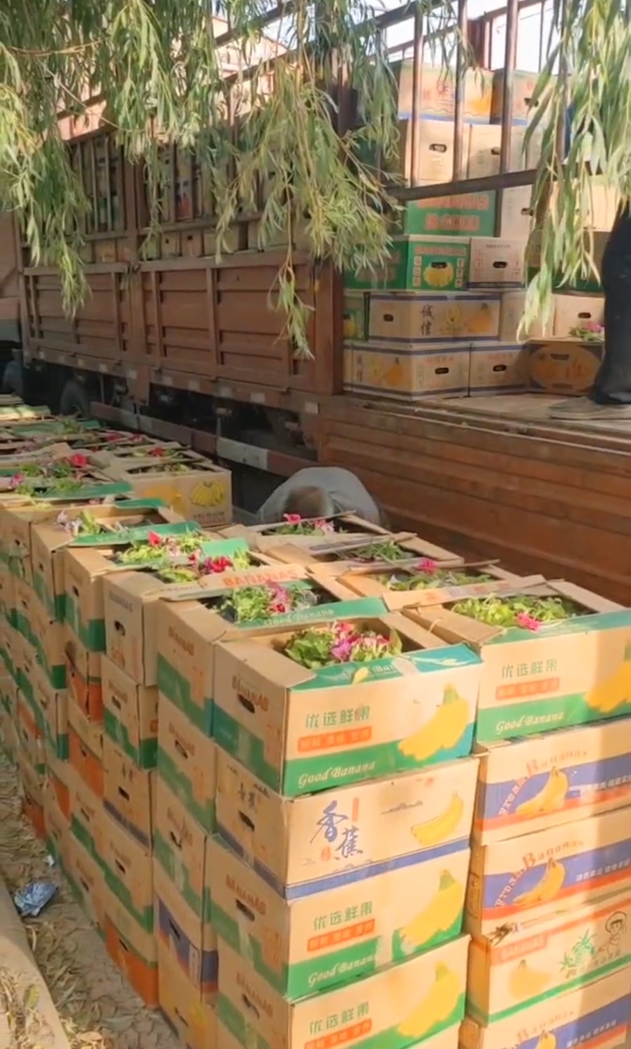 發(fā)貨現(xiàn)場(chǎng)